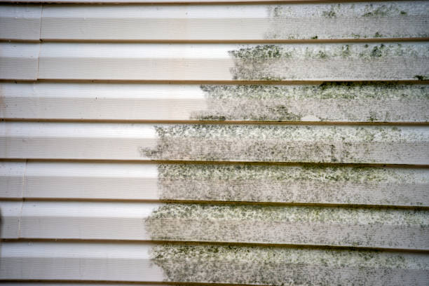 Best Siding Removal and Disposal  in Manchester, PA